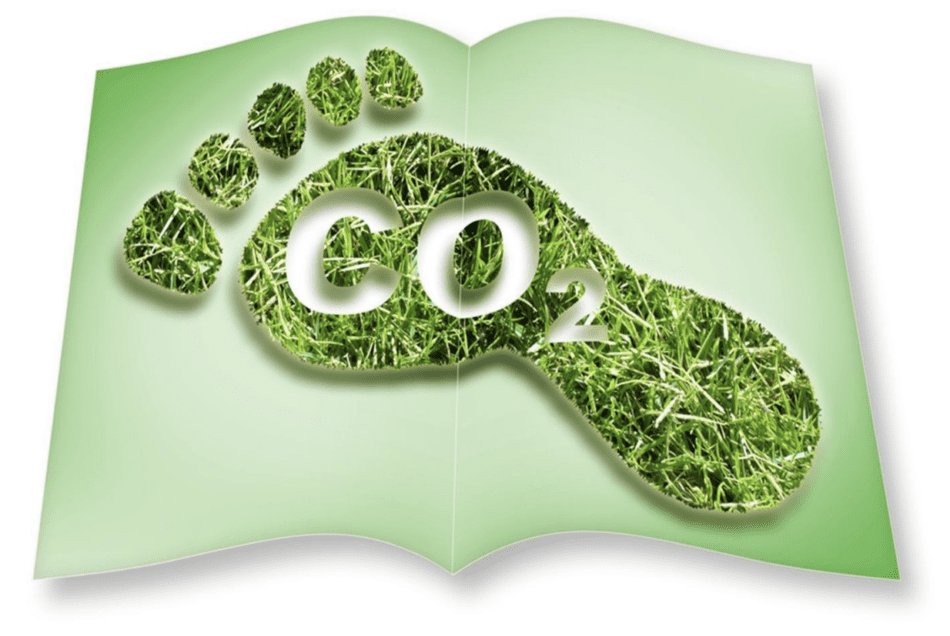 Eco-Friendly Insulation Solutions For Your Home